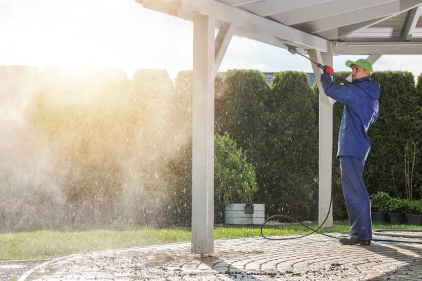 Best Roof Cleaning and Mildew Removal in Amherst, TX