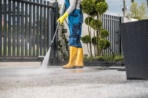 Best Soft Washing for Delicate Surfaces in Amherst, TX